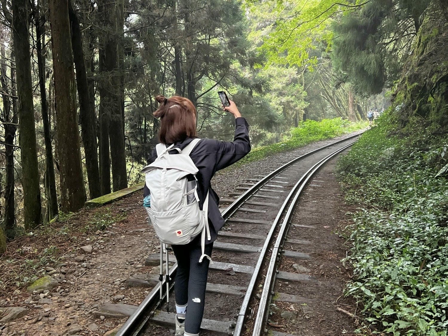 登山|眠月線申請流程|六步驟完成一葉蘭自然保留區申請、失落的森林鐵道阿里山眠月線 - 第1張圖
