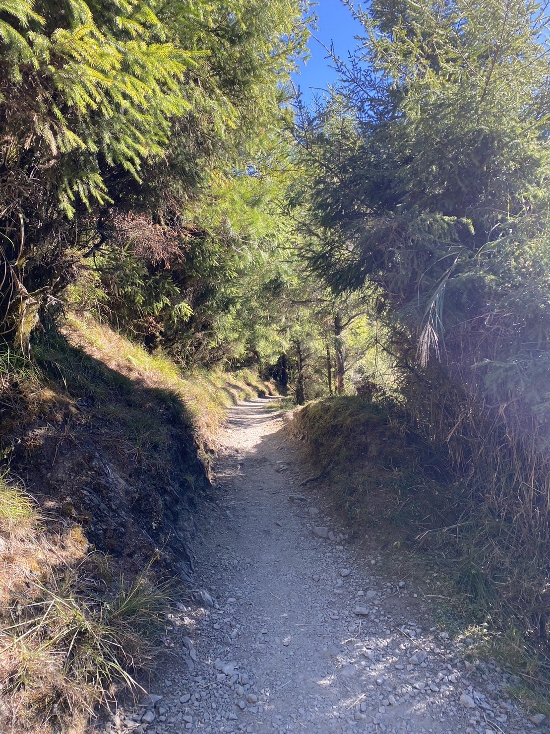 玉山登山路線