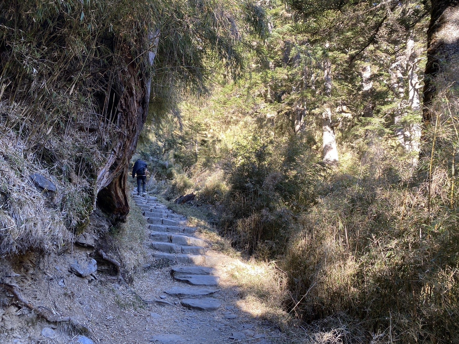 玉山，即將抵達排雲山莊