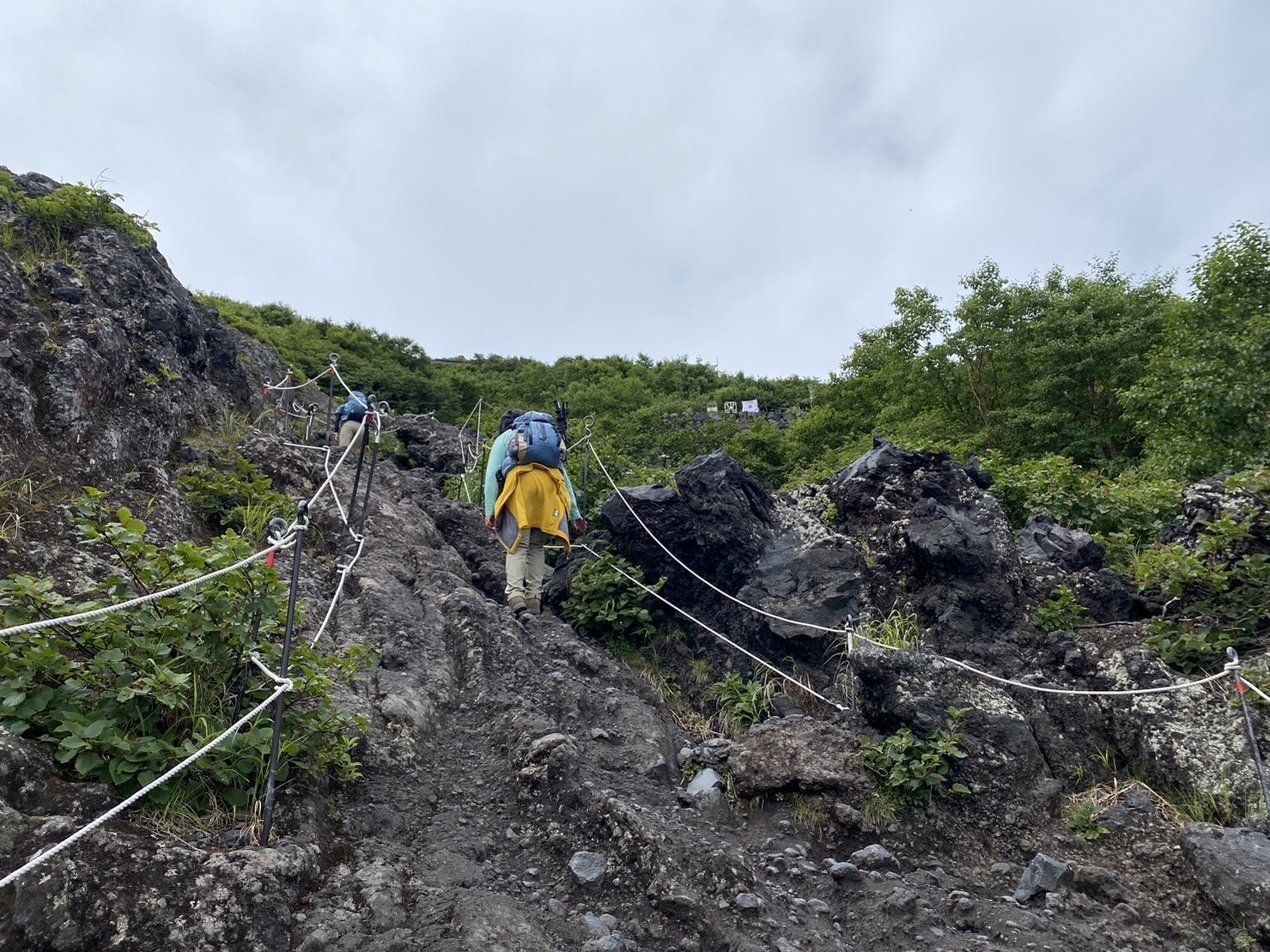 登富士山