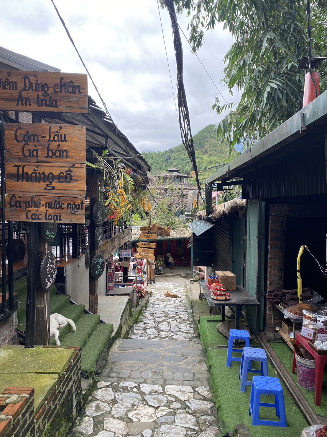越南｜沙壩景點｜貓貓村 Cat Cat Village