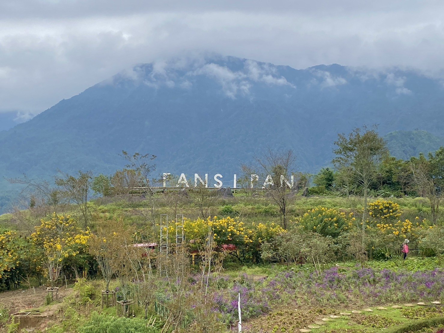越南｜沙壩景點｜Sapa雲霧繚繞的浪漫山城、番西邦峰