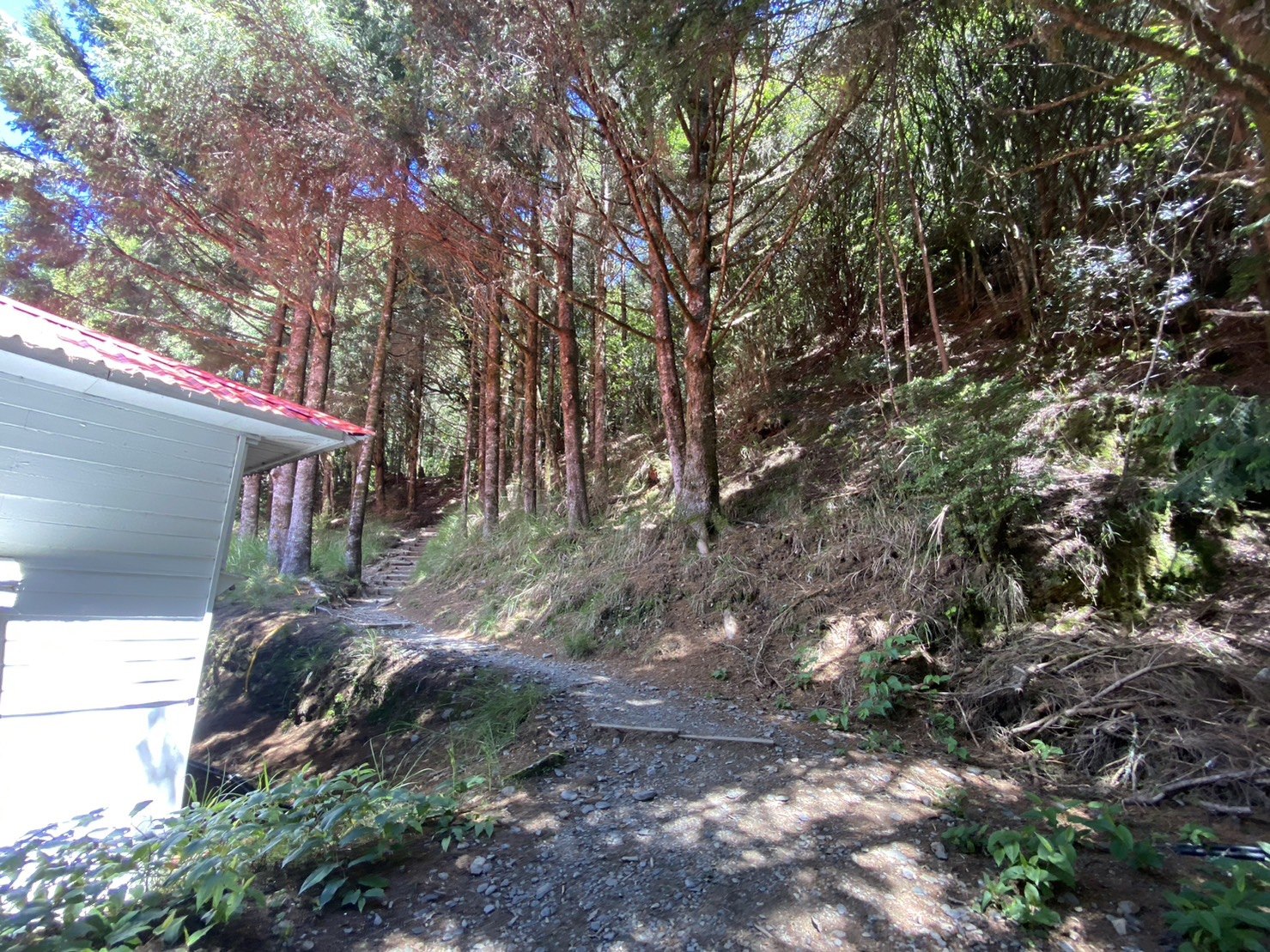 雪山東峰登山路程紀錄