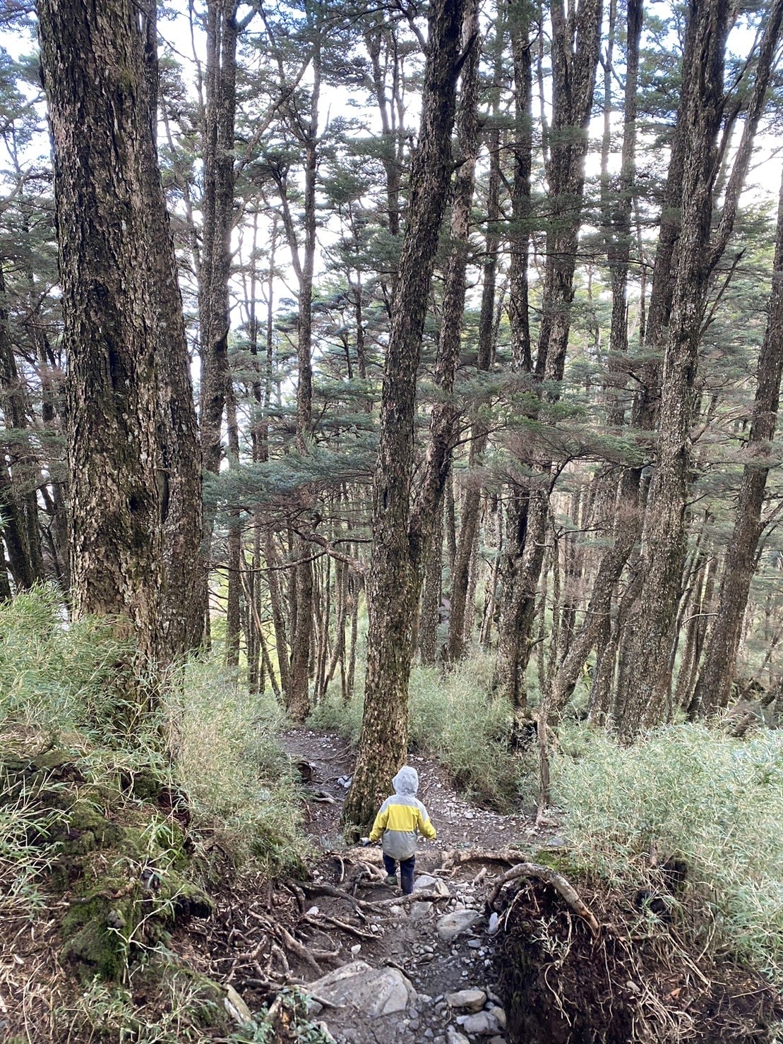 塔關山路程紀錄