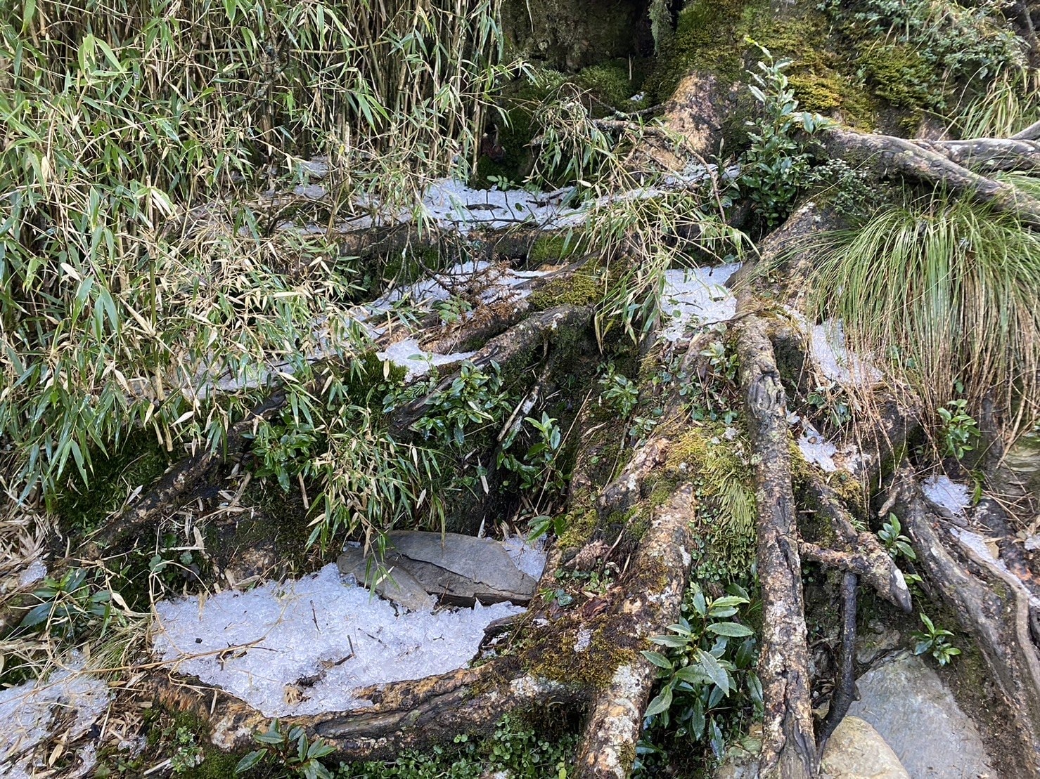 塔關山路程紀錄