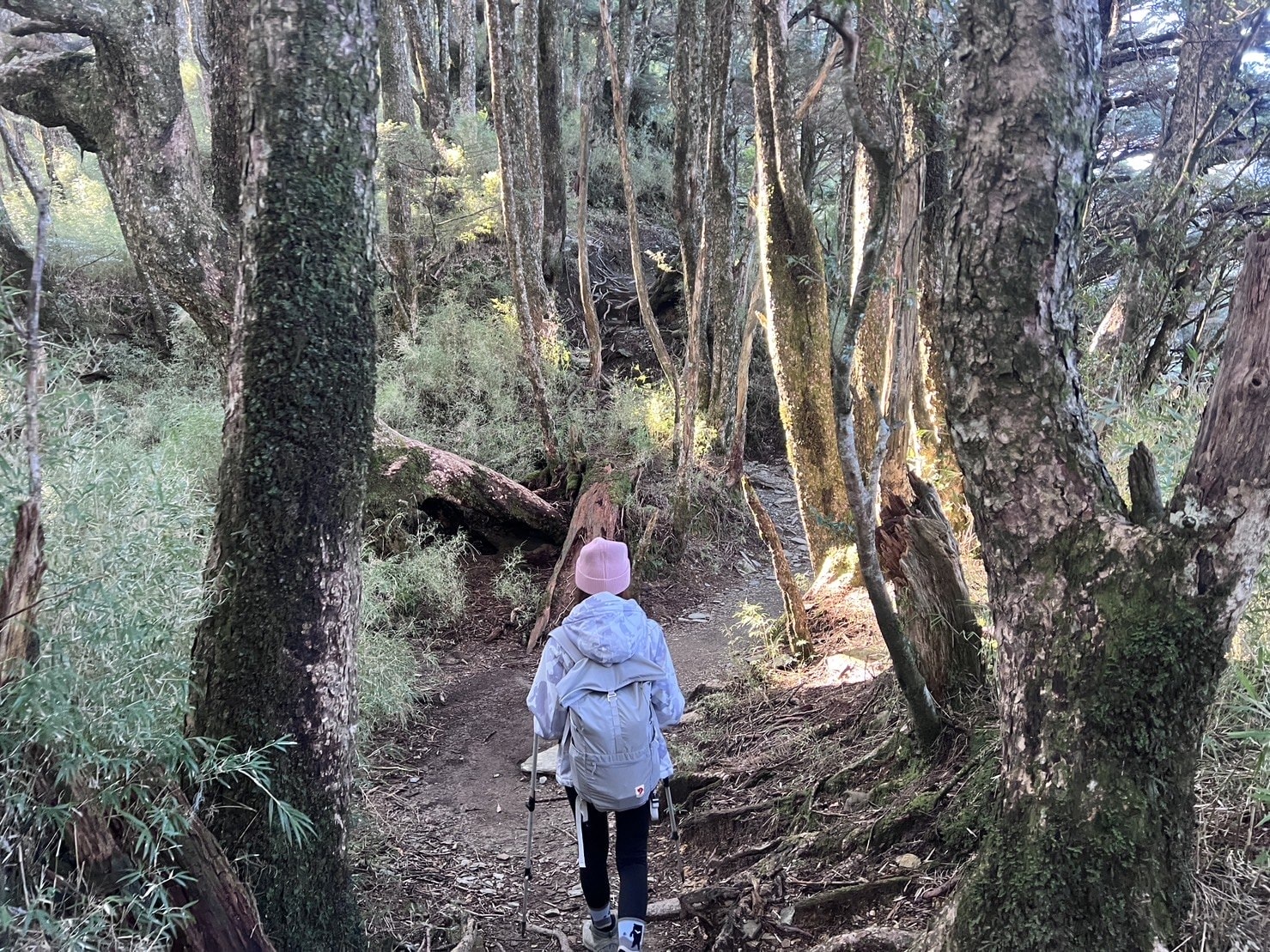 塔關山路程紀錄