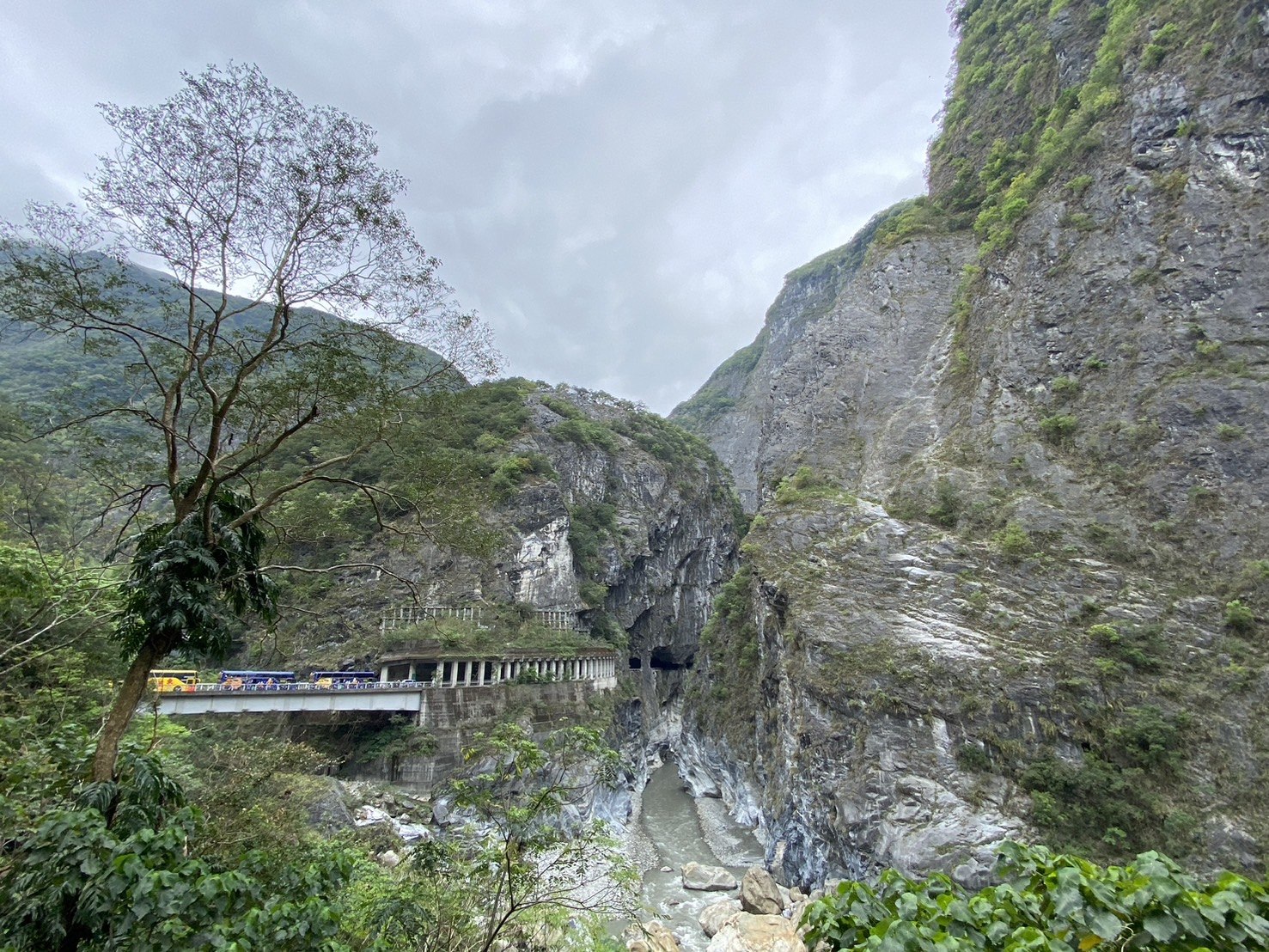 花蓮健行|錐麓古道健行路程紀錄|探索太魯閣的絕美風景-錐麓斷崖,0403大地震前最後的紀錄! - 第4張圖 太魯閣族長老石 - 長老側臉