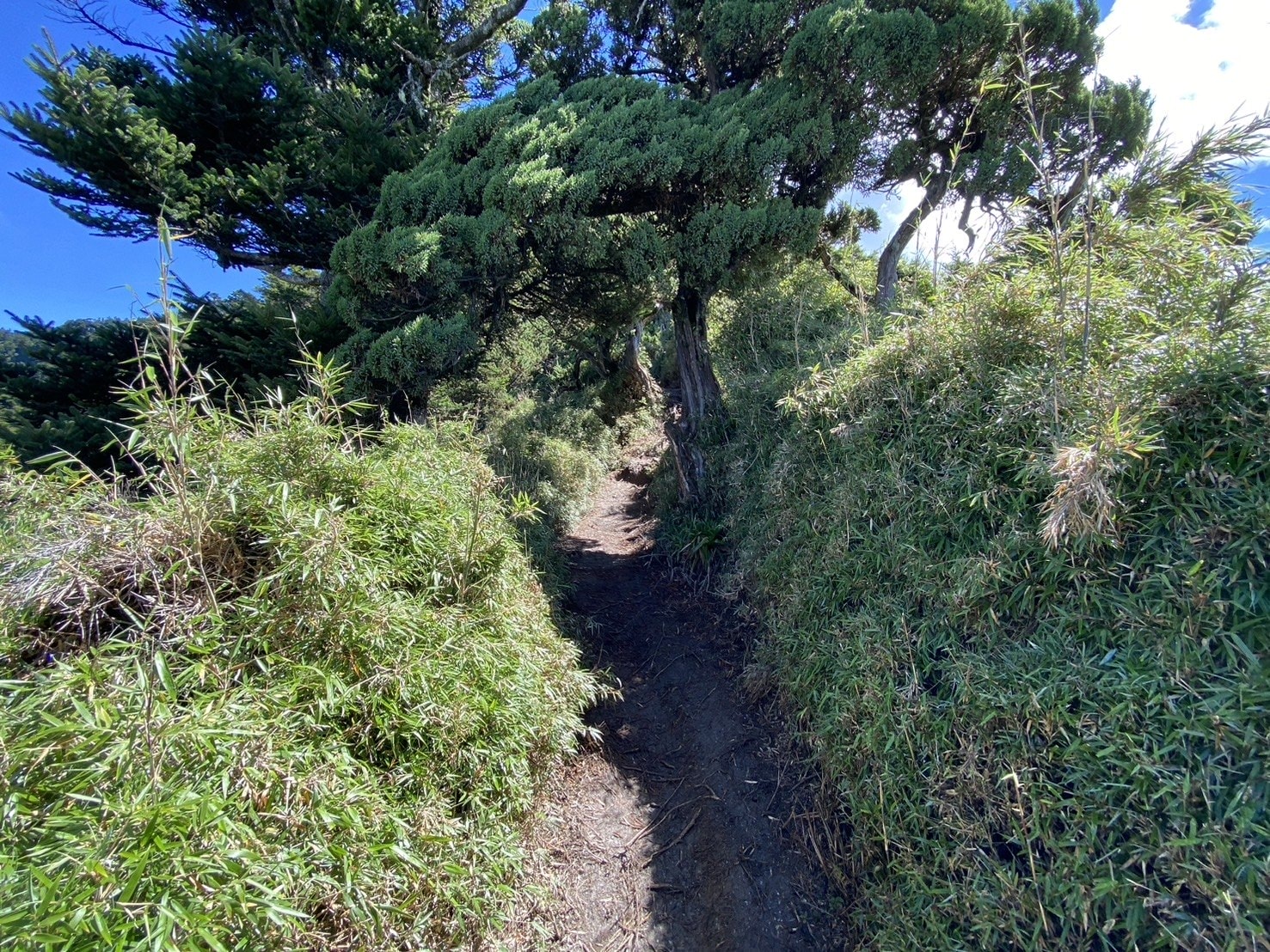 關山嶺山登山路程紀錄