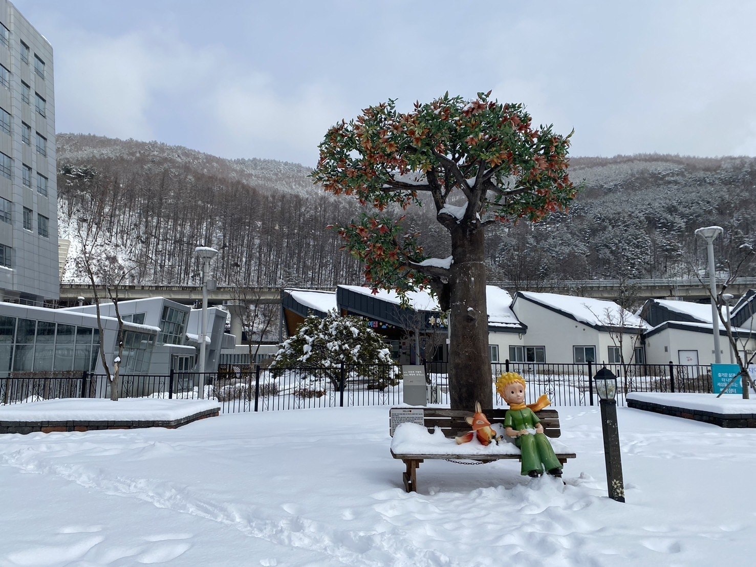 雪景、小王子