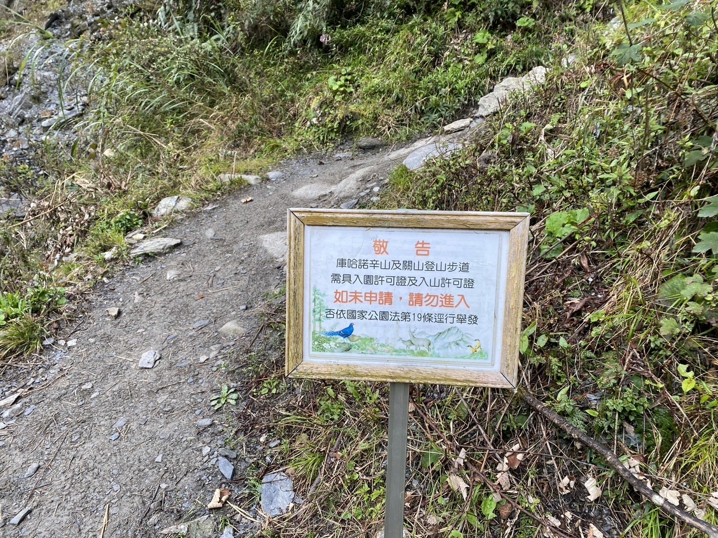 庫哈諾辛山登山路程紀錄-進涇橋登山口