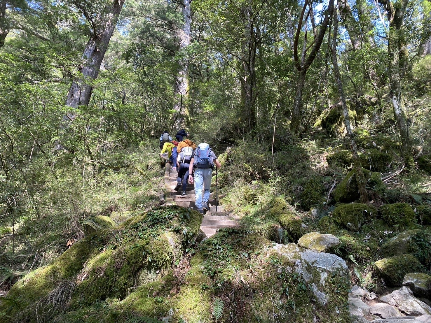 庫哈諾辛山登山路程紀錄-階梯