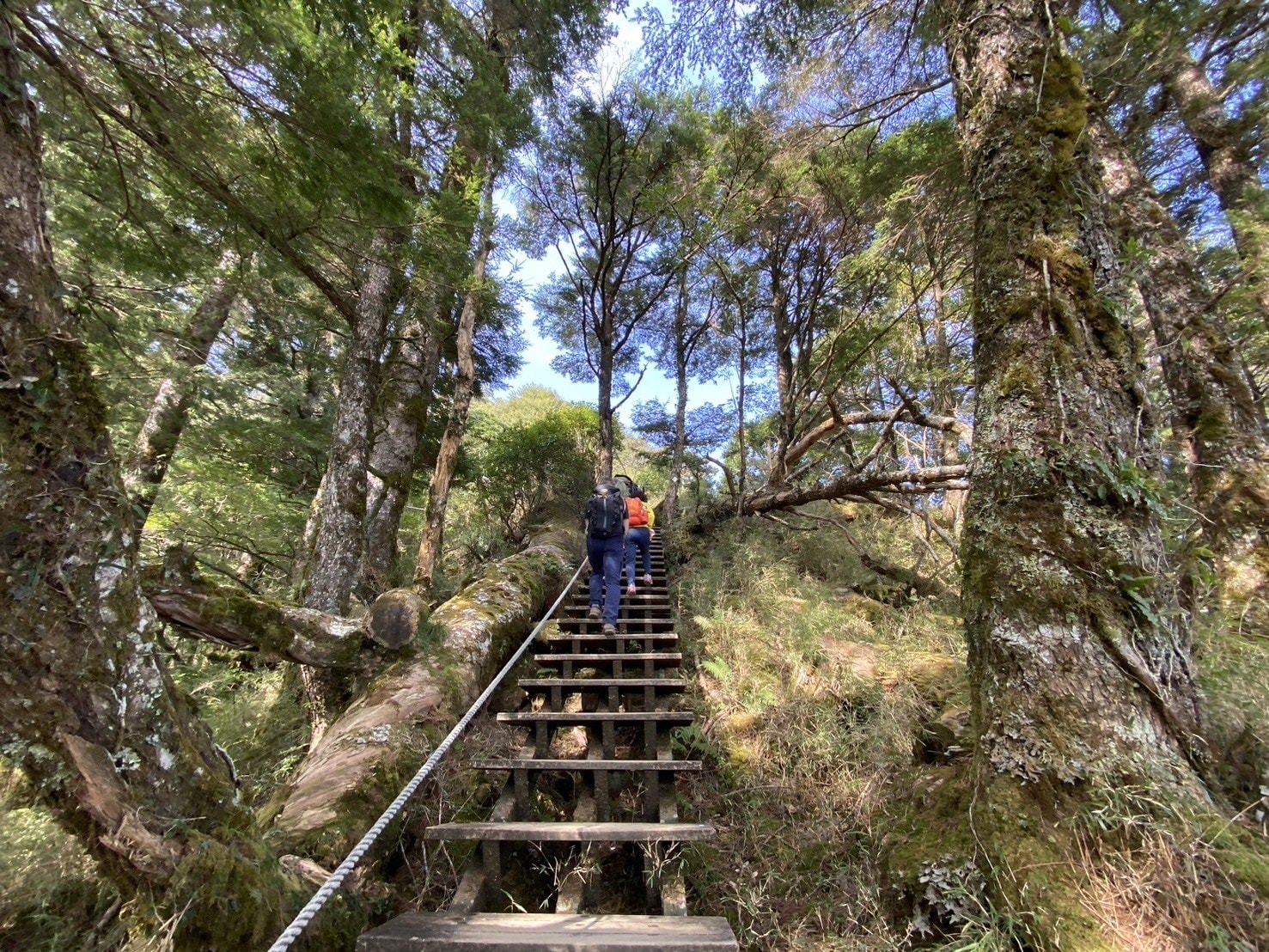 庫哈諾辛山登山路程紀錄-階梯