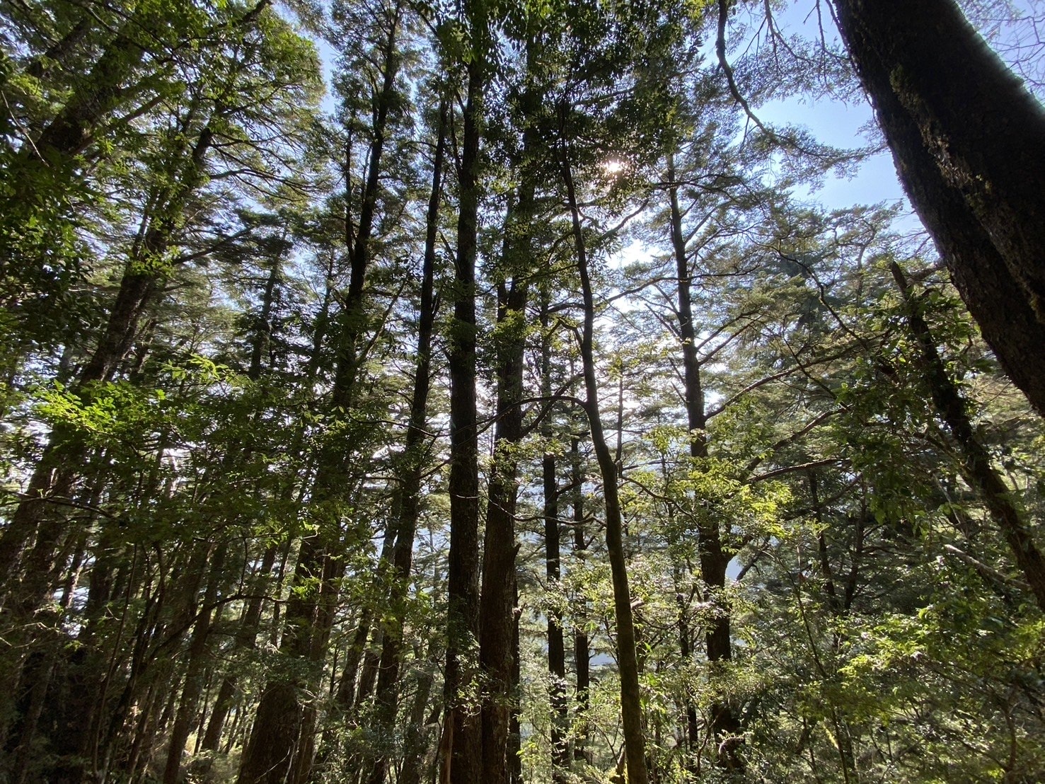 庫哈諾辛山登山路程紀錄