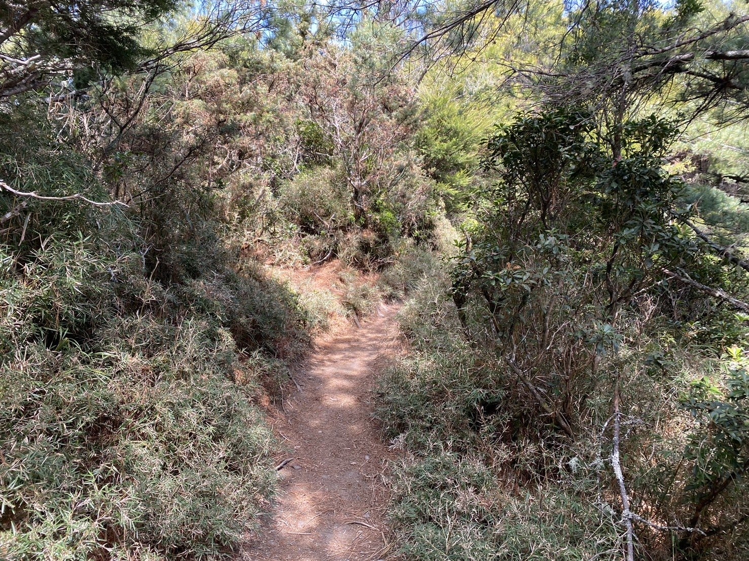 庫哈諾辛山登山路程紀錄
