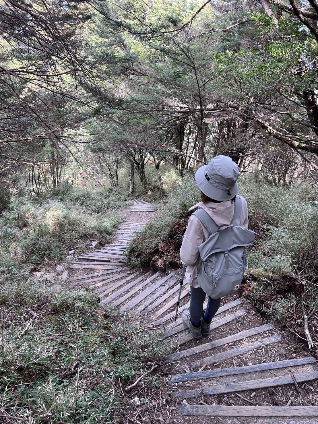 庫哈諾辛山登山路程紀錄-階梯