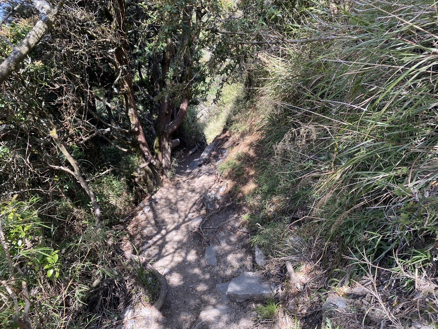 庫哈諾辛山登山路程紀錄