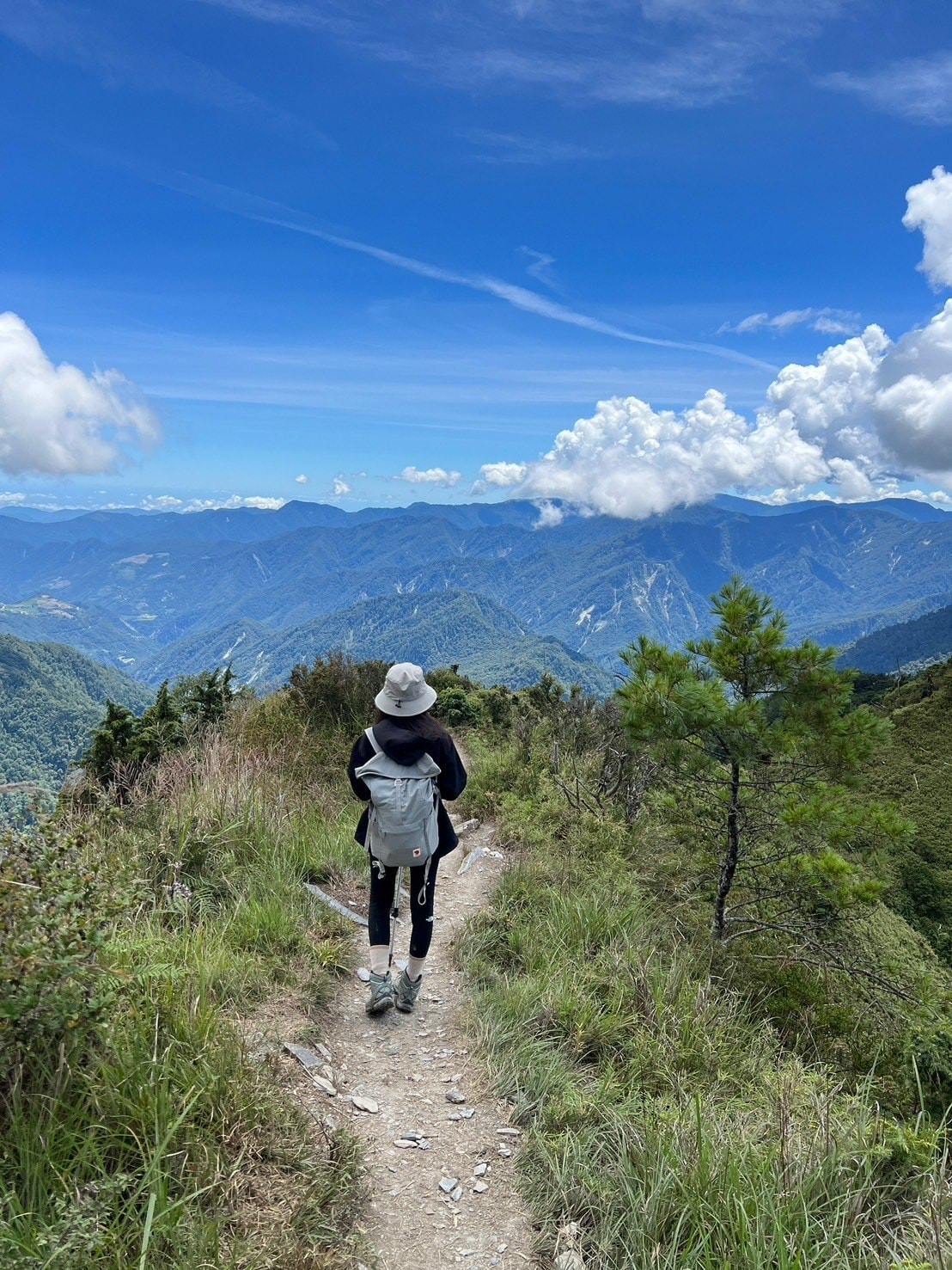 關山嶺山登山路程紀錄-稜線