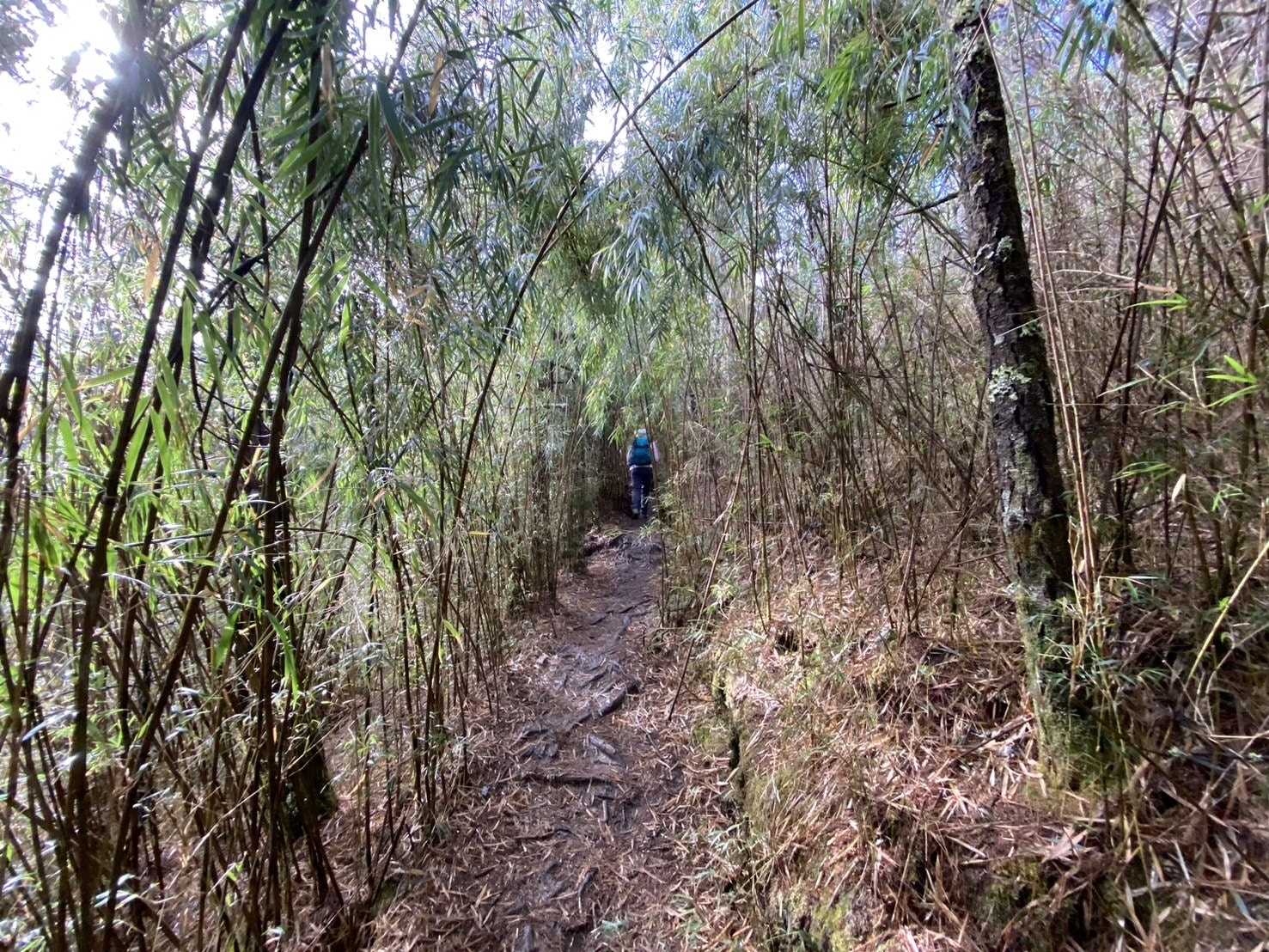 郡大山登山路程紀錄