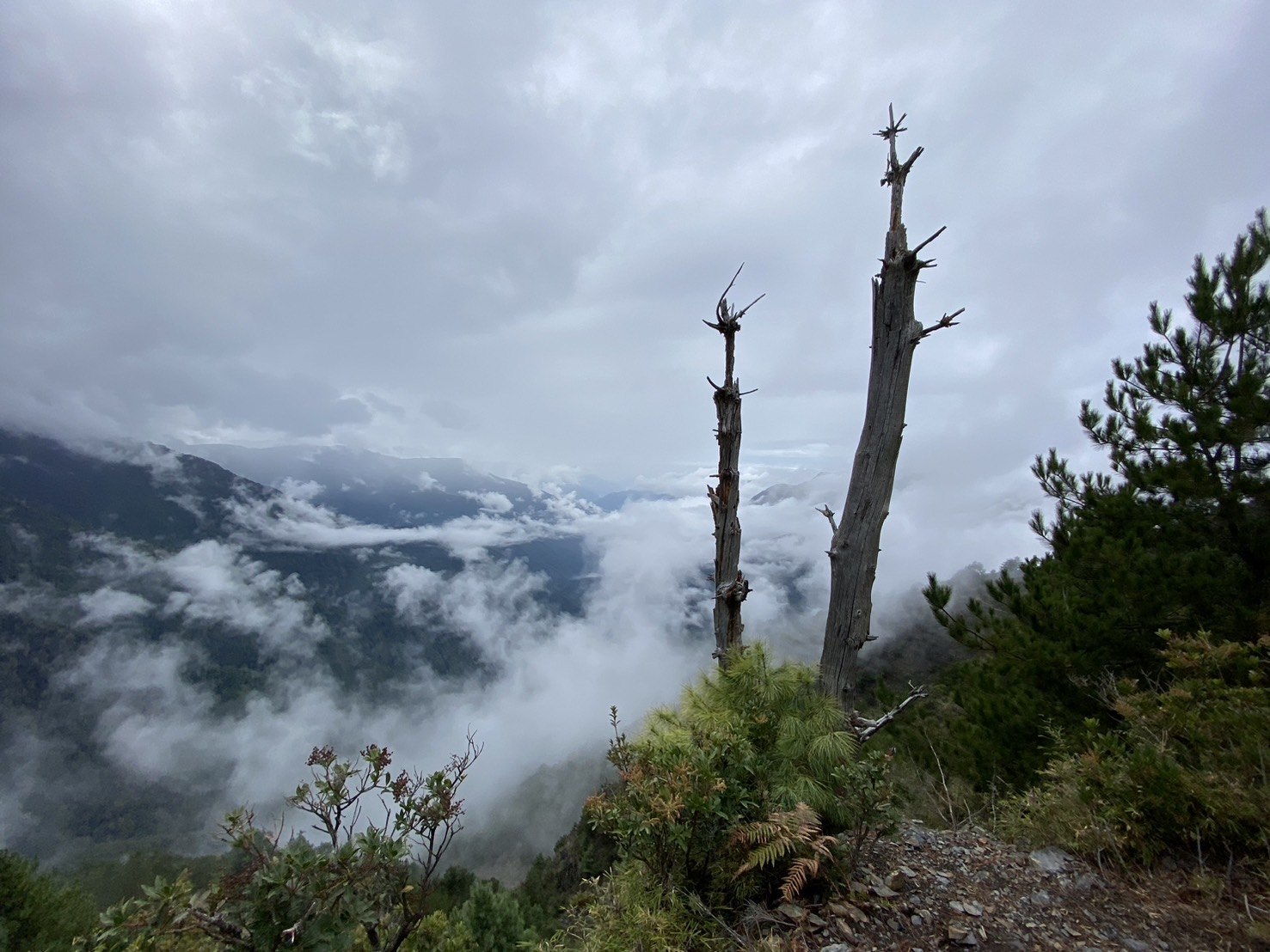 玉山前峰登山路程紀錄