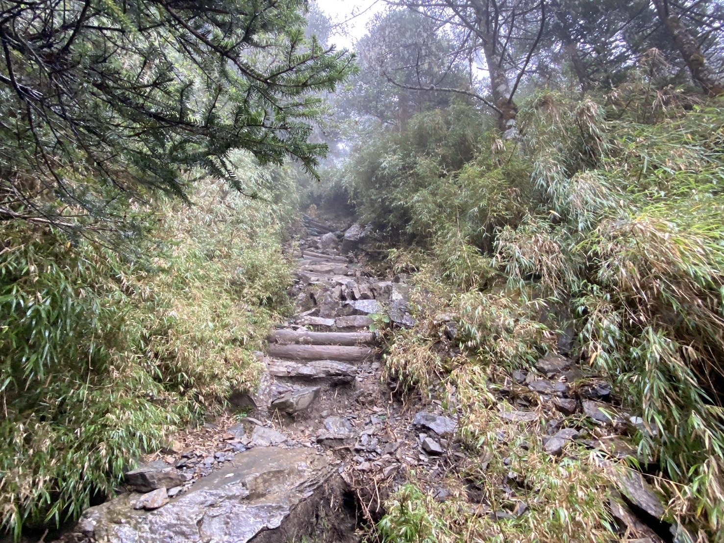 玉山前峰登山路程紀錄