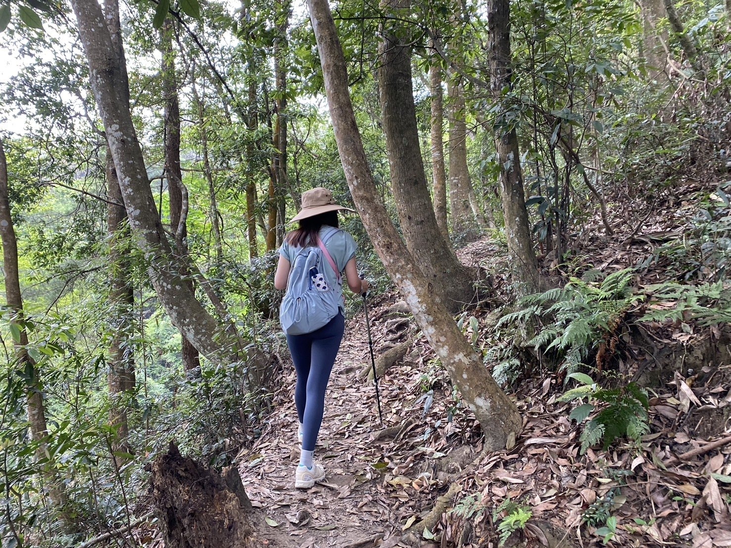 唐麻丹山登山路程紀錄