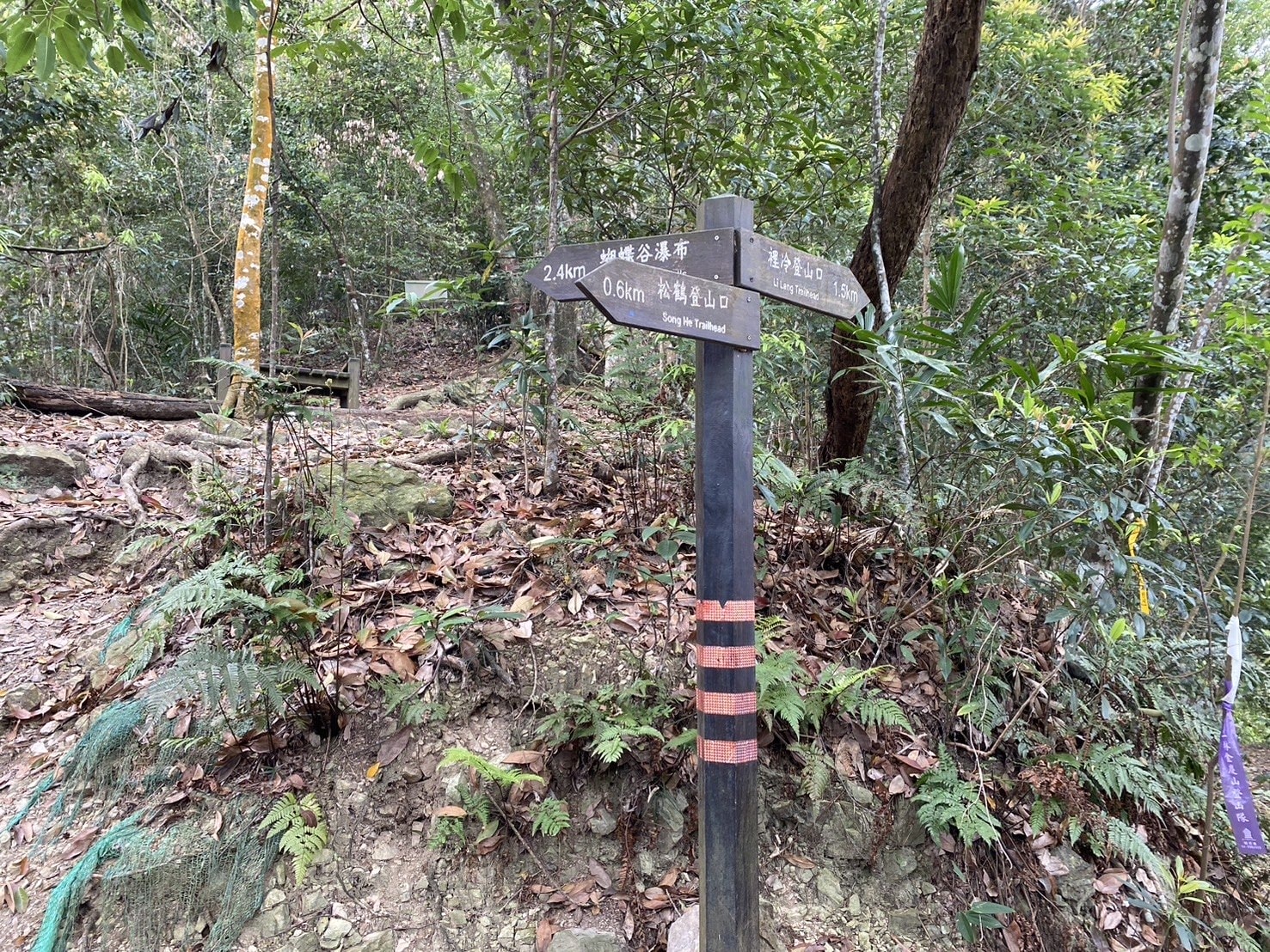 唐麻丹山登山路程紀錄、松鶴叉路