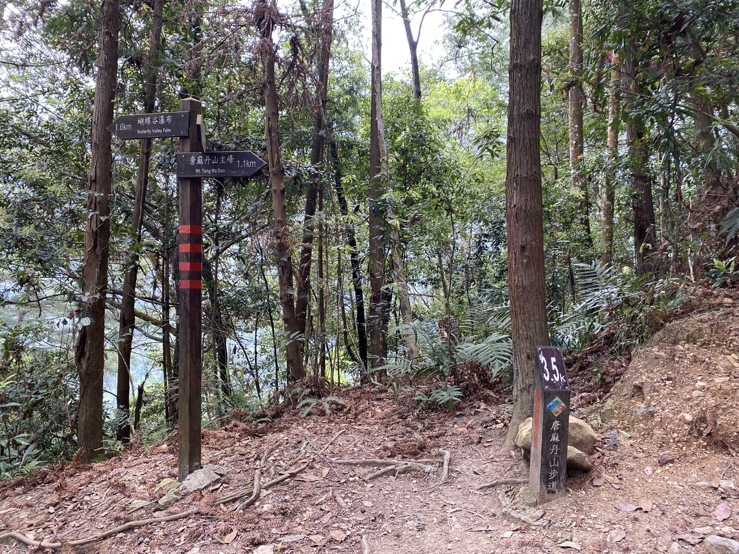 唐麻丹山登山路程紀錄、蝴蝶谷叉路