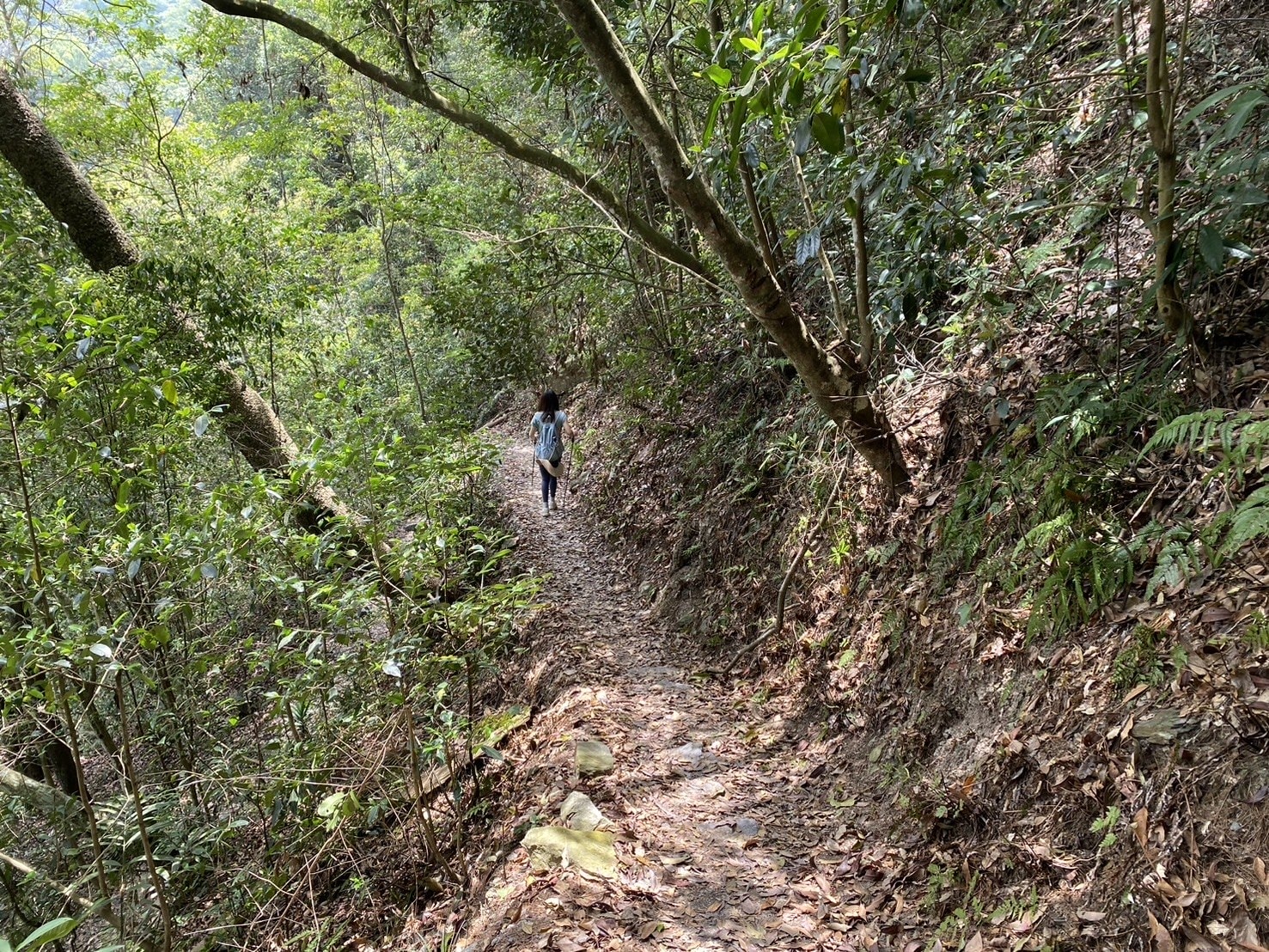 唐麻丹山登山路程紀錄、蝴蝶谷步道