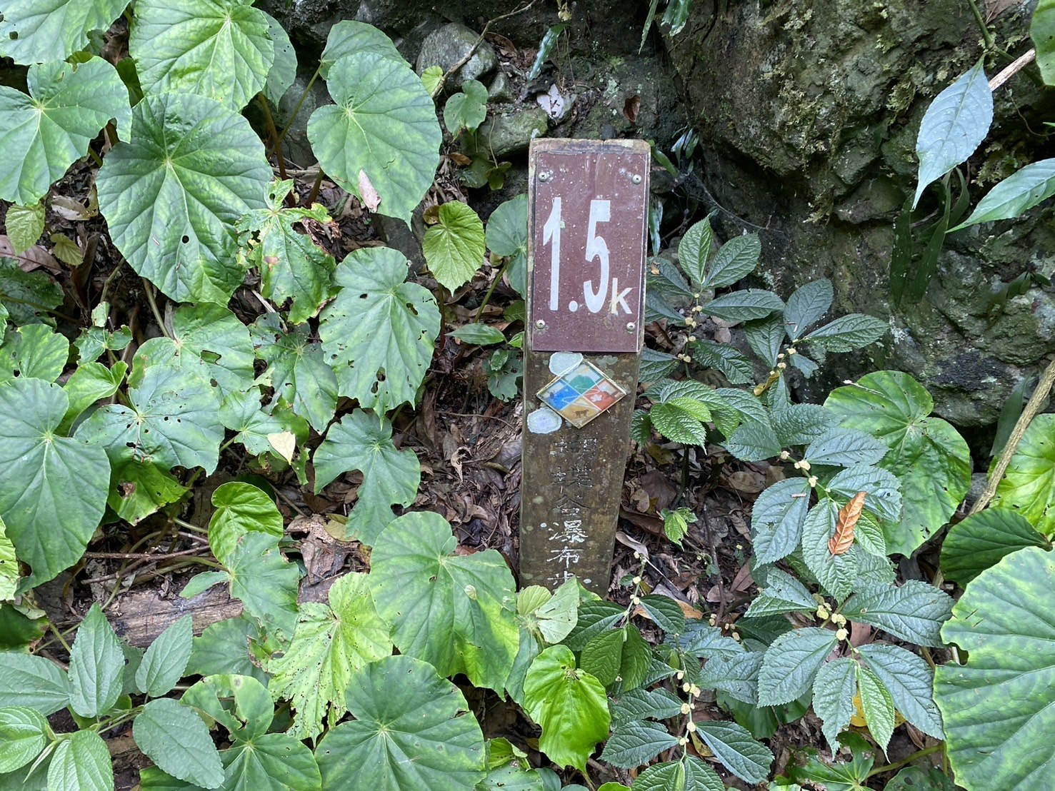 唐麻丹山登山路程紀錄、蝴蝶谷步道