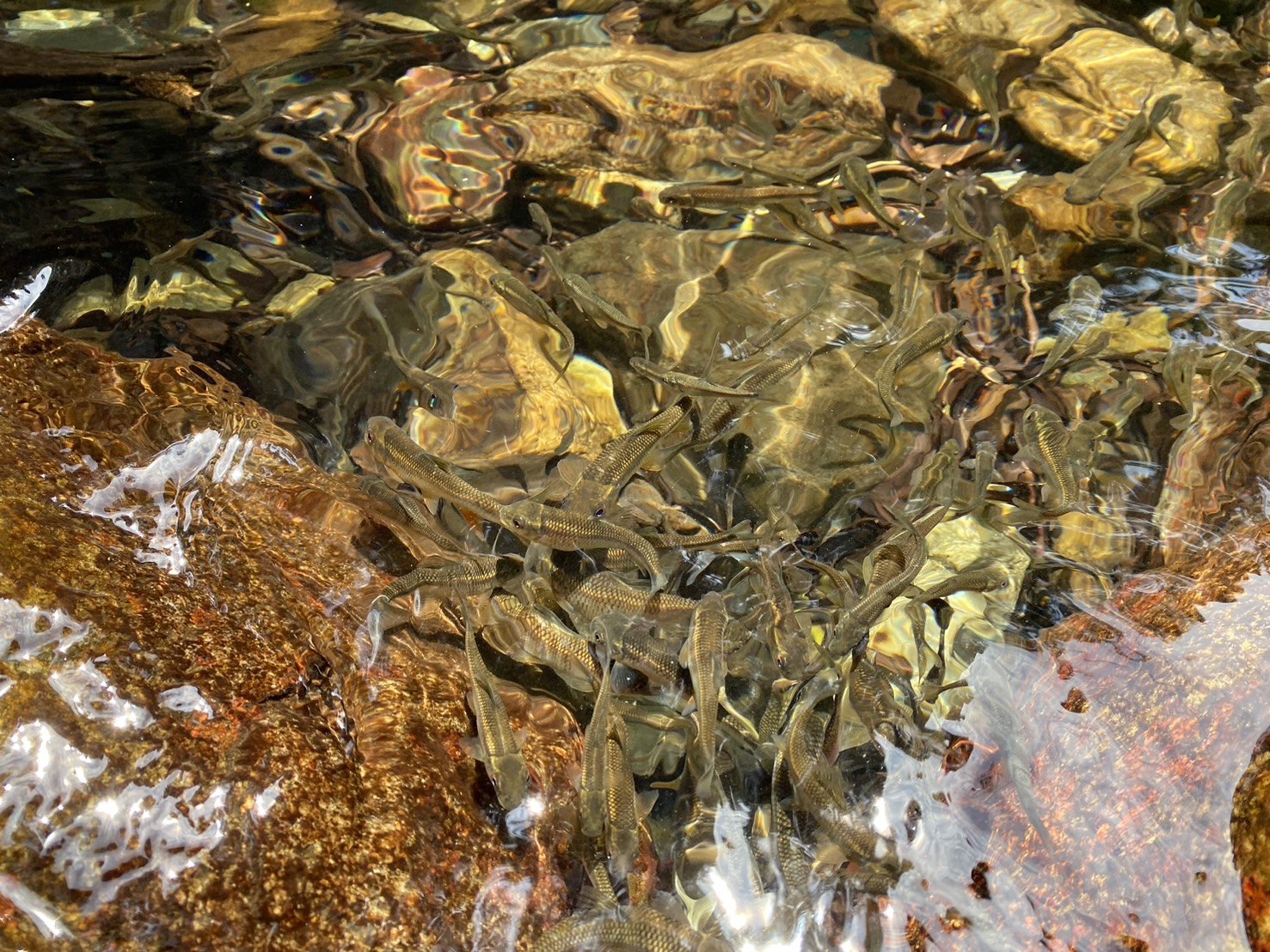 唐麻丹山登山路程紀錄、蝴蝶谷瀑布