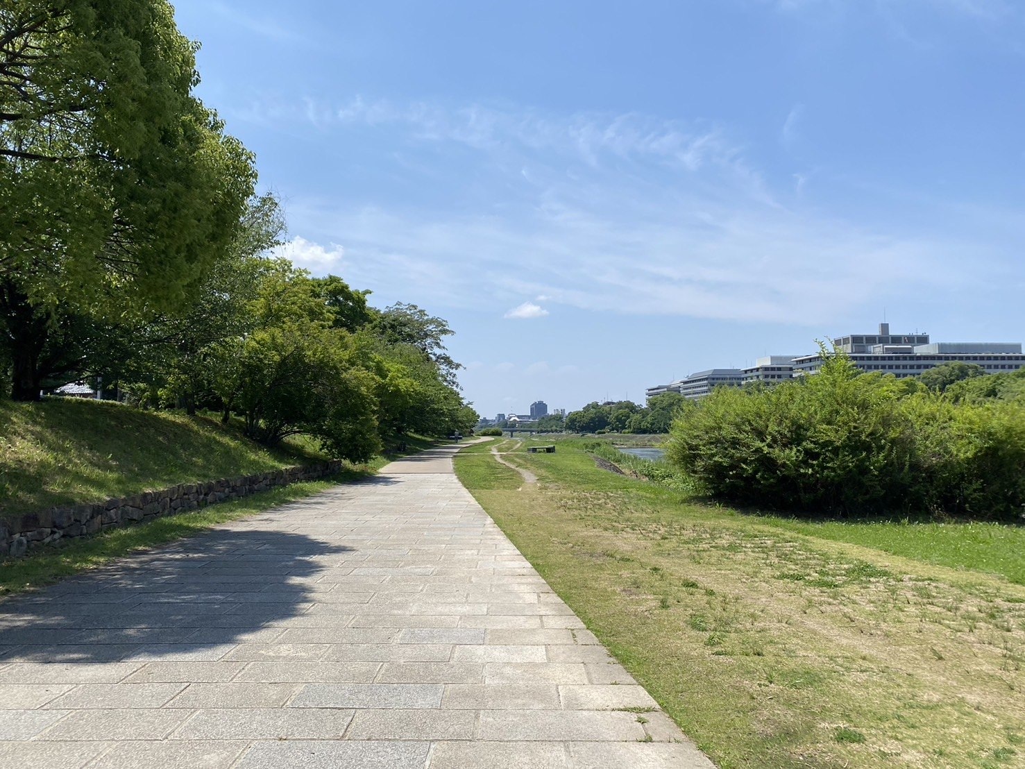 京都景點、鴨川公園