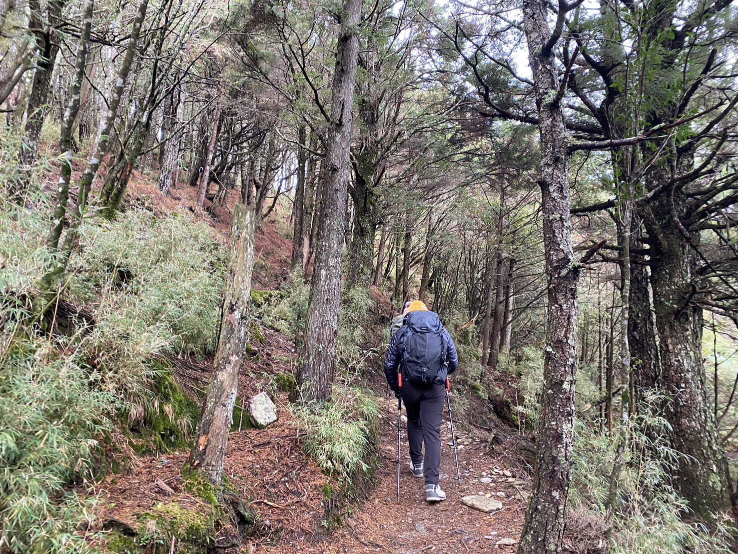 郡大山登山路程紀錄
