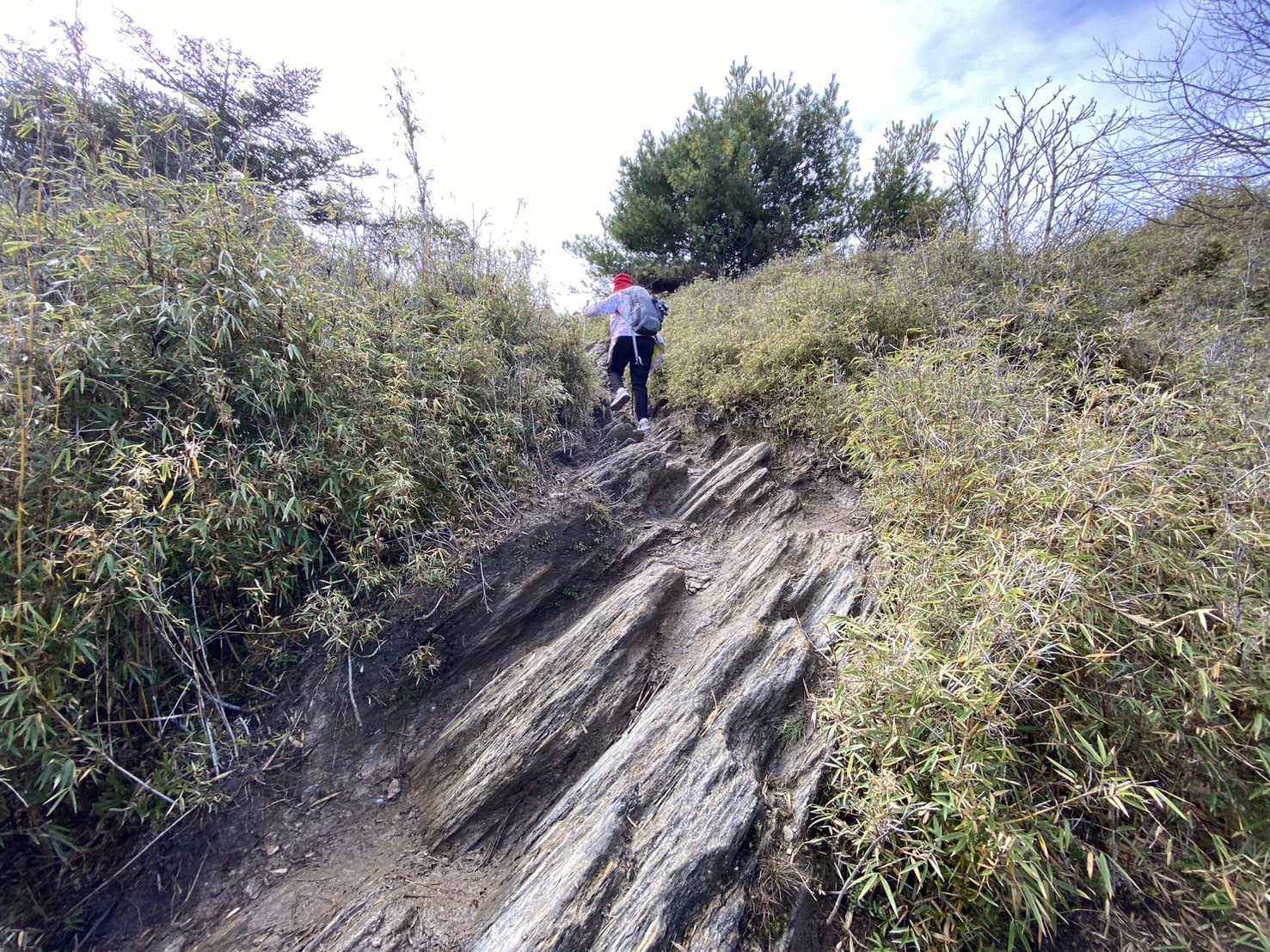 郡大山登山路程紀錄
