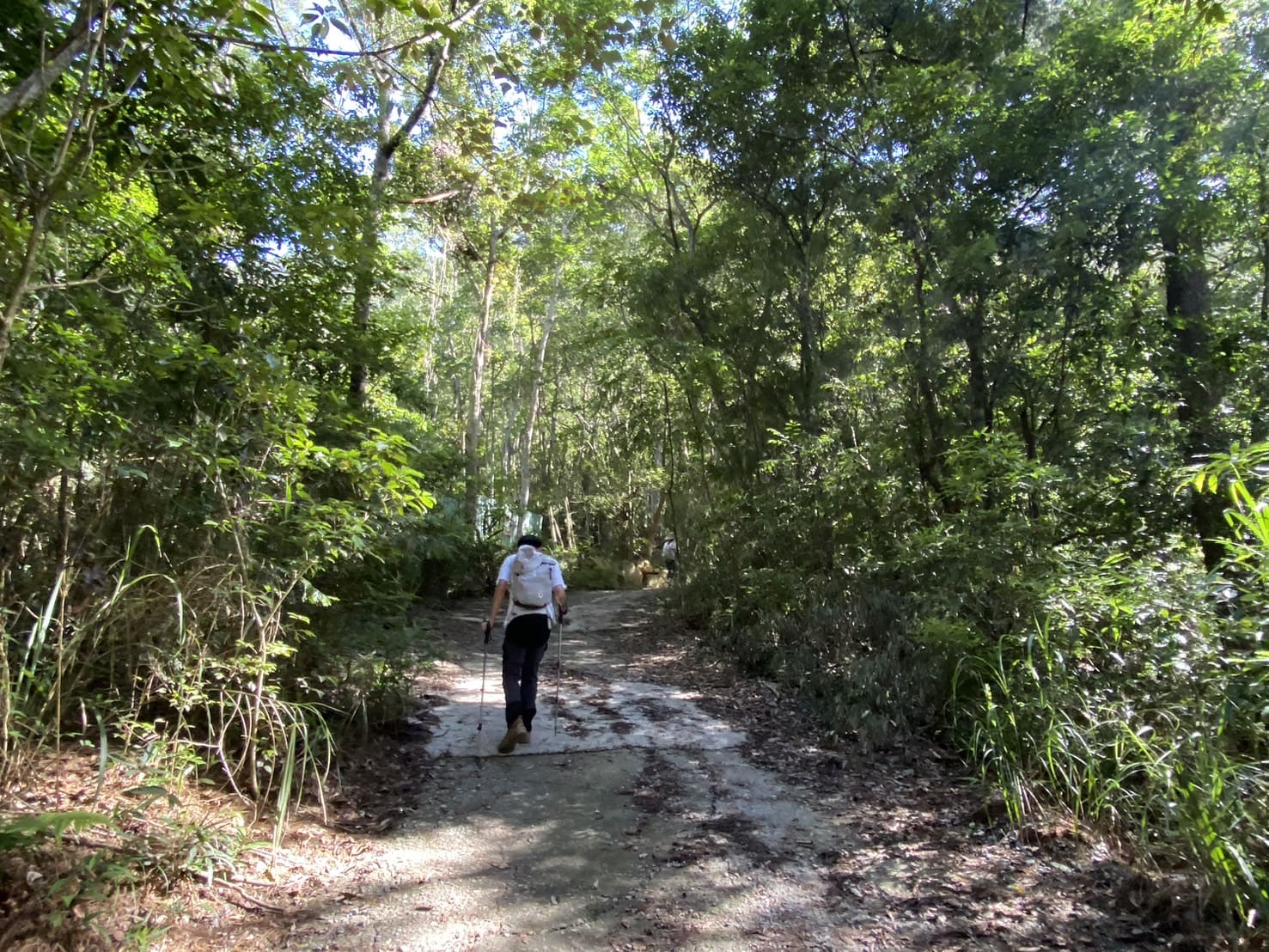 谷關七雄｜東卯山登山路程紀錄｜