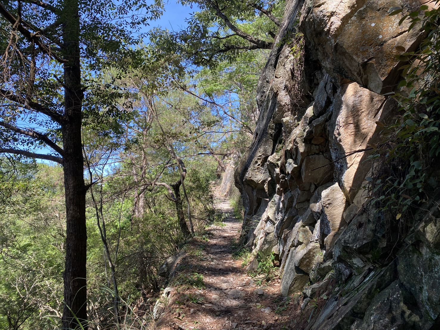 谷關七雄｜東卯山登山路程紀錄｜