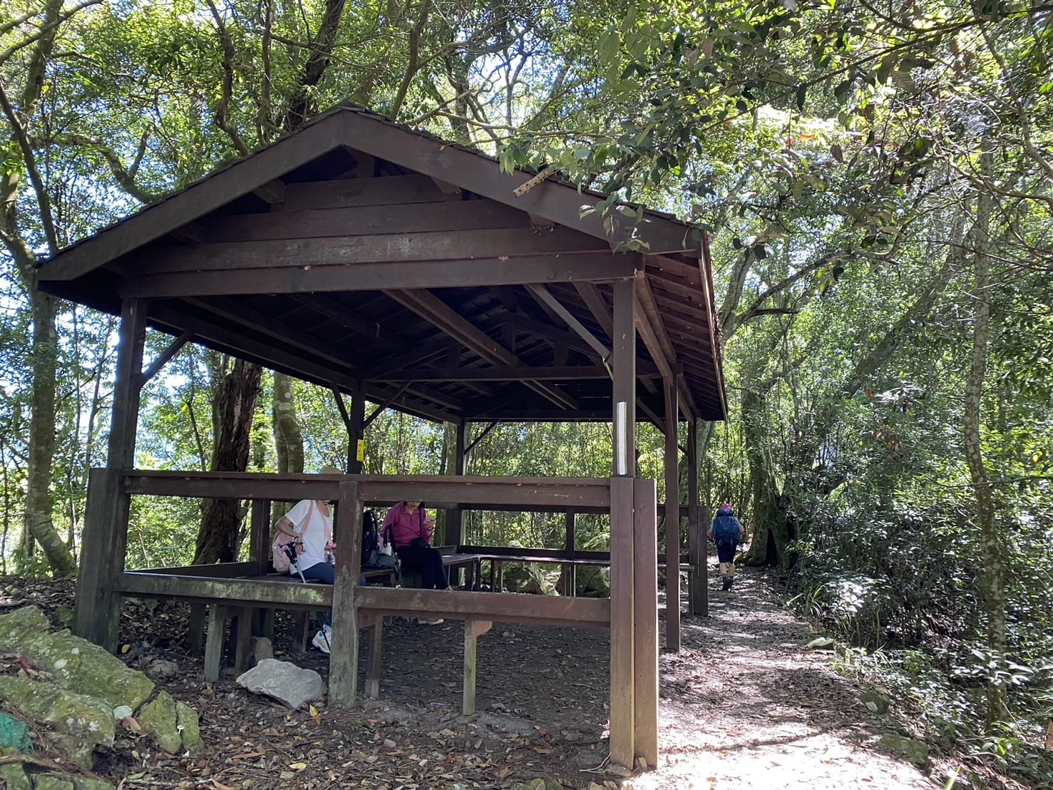 谷關七雄｜東卯山登山路程紀錄｜東卯山涼亭