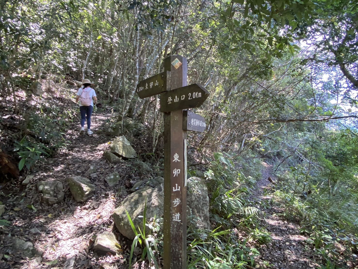 谷關七雄｜東卯山登山路程紀錄｜