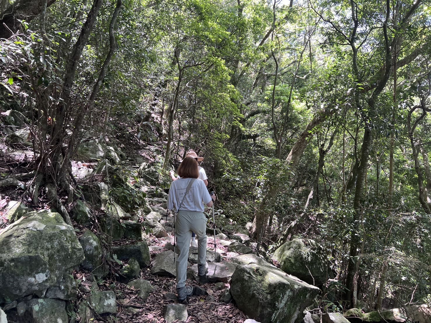 谷關七雄｜東卯山登山路程紀錄｜
