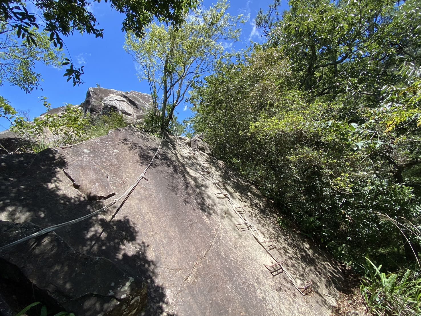 谷關七雄｜東卯山登山路程紀錄｜
