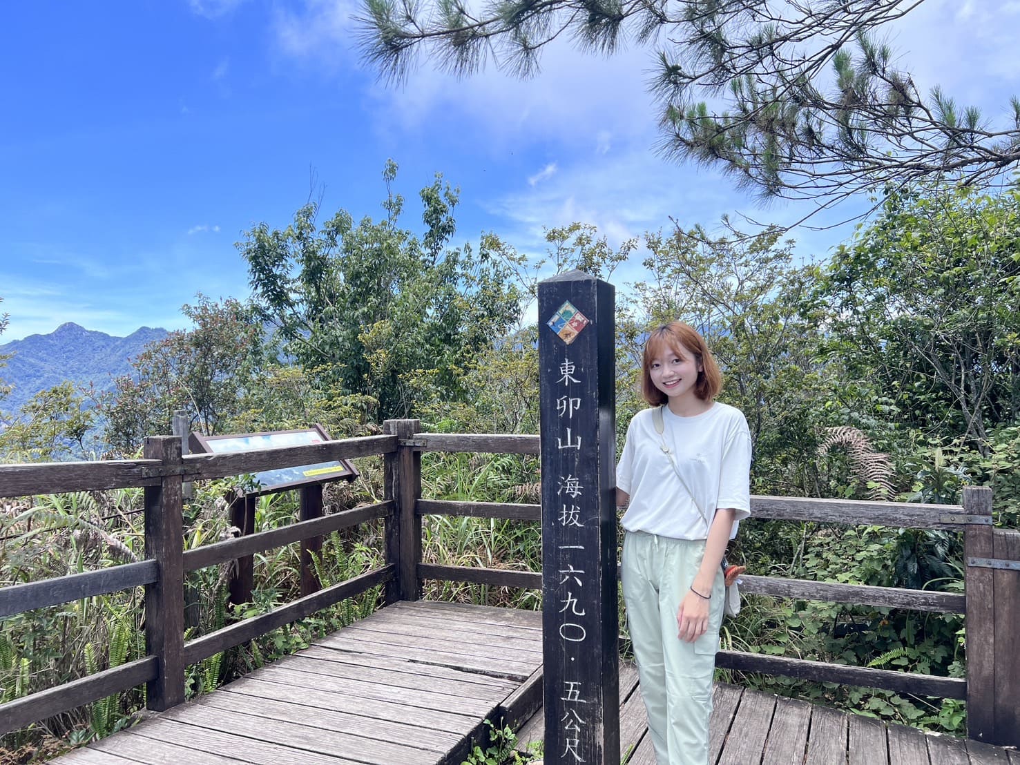 谷關七雄｜東卯山登山路程紀錄｜東卯山三角點