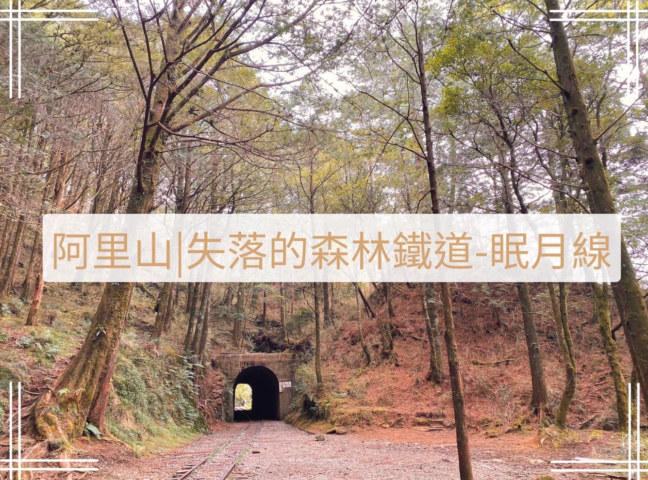 阿里山眠月線