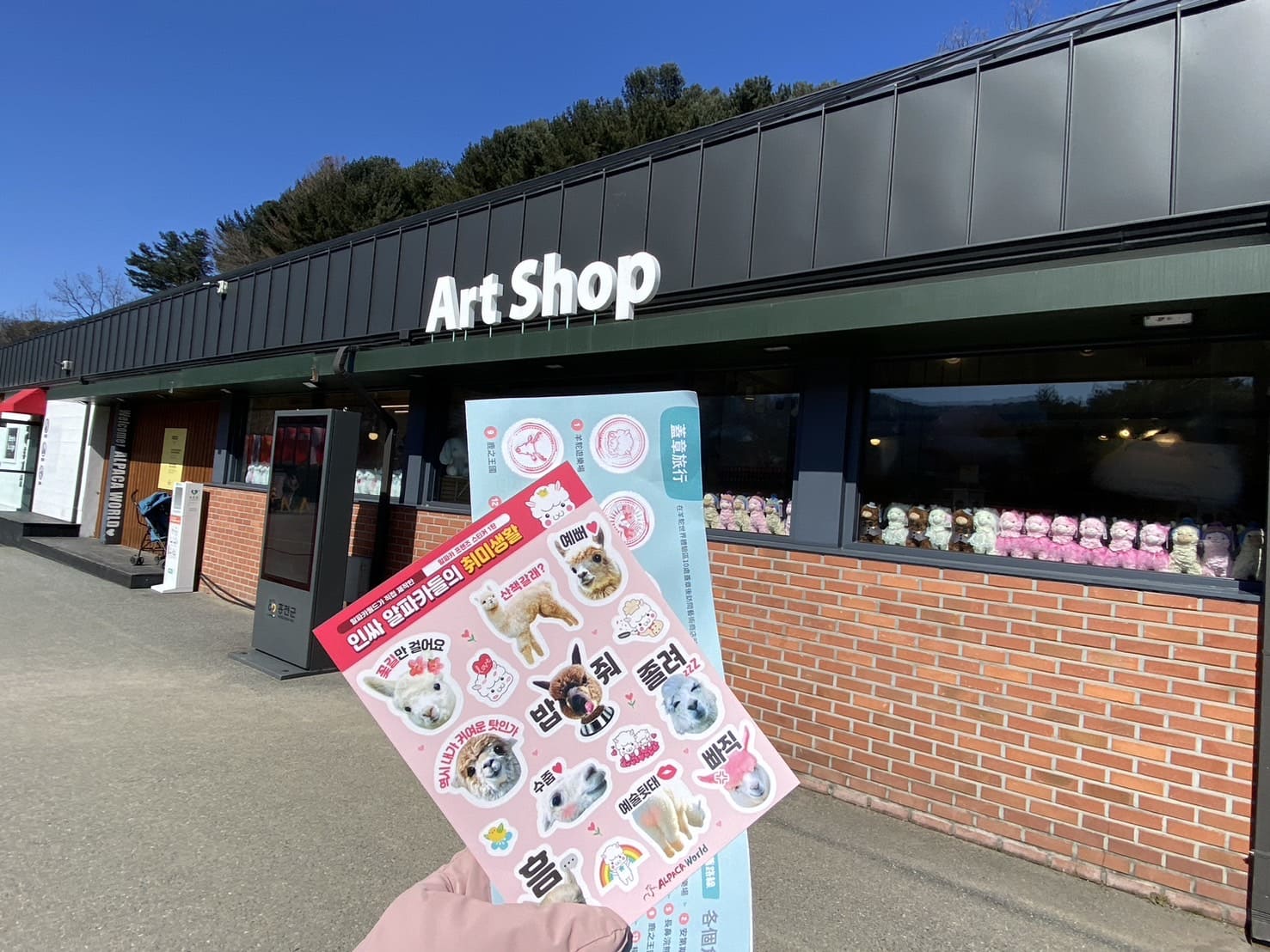 韓國羊駝世界禮品店