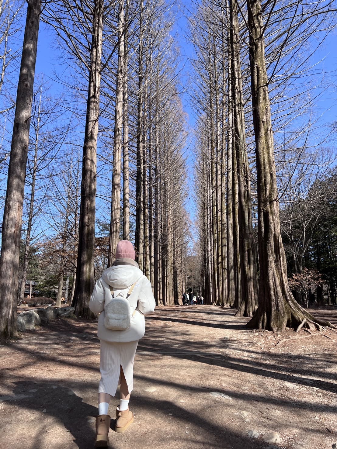 南怡島