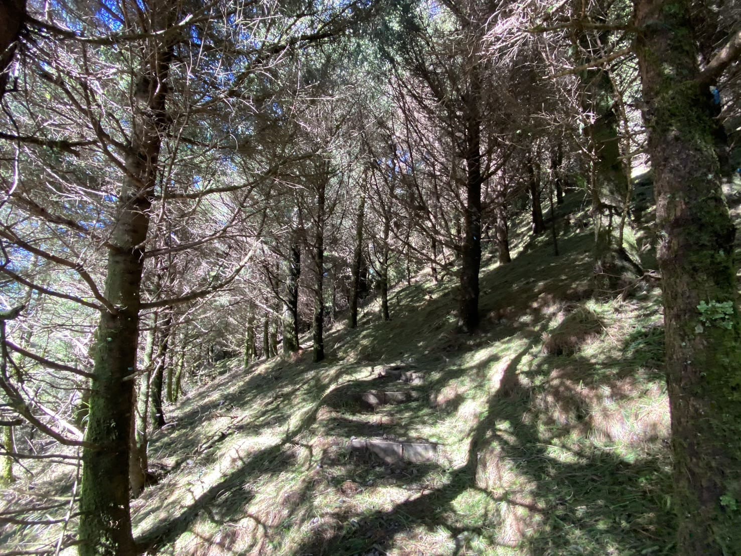 塔塔加三山路程紀錄