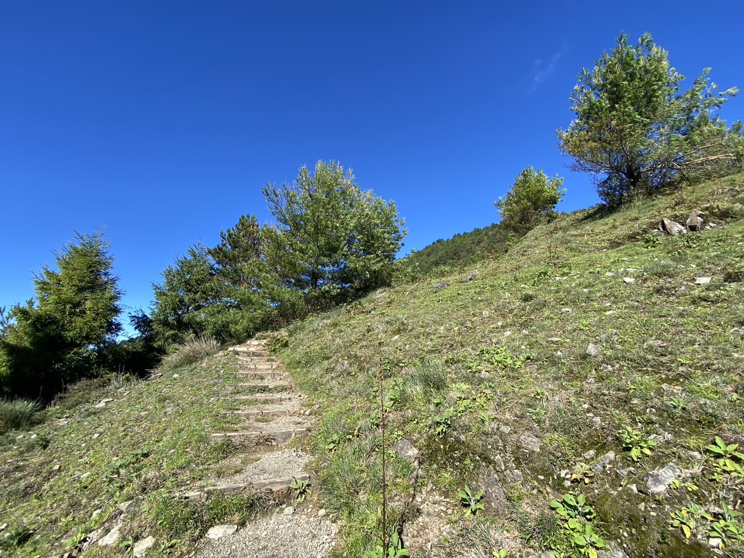 塔塔加三山開始曝曬路段