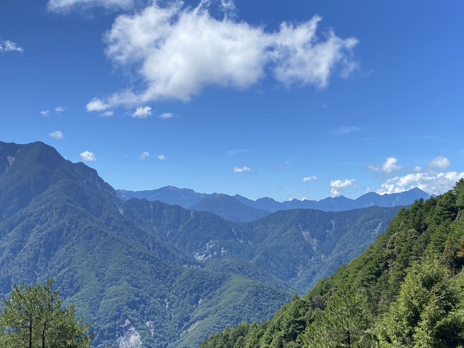 塔塔加三山、眺望遠處山峰
