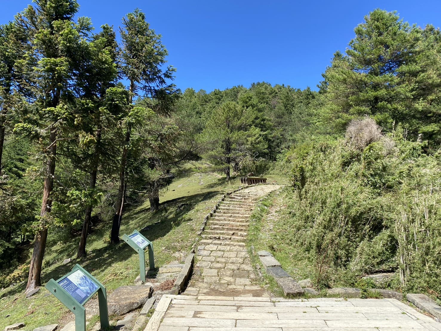 塔塔加三山、麟趾山鞍部