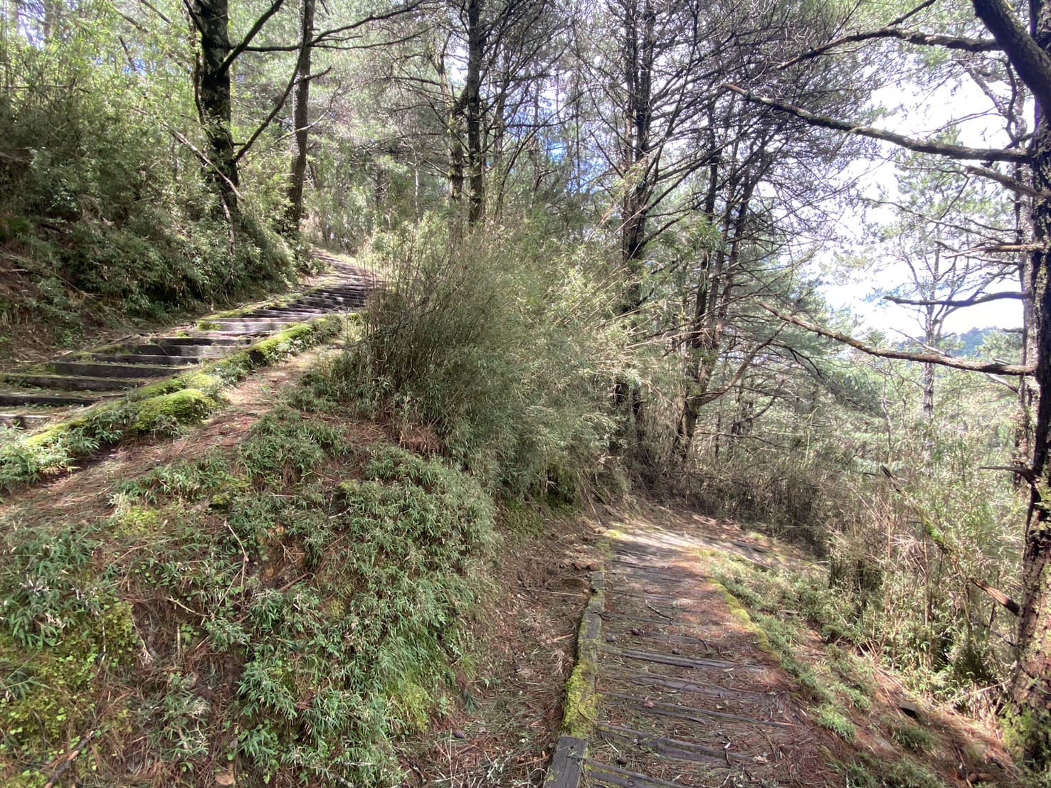 塔塔加三山路程紀錄