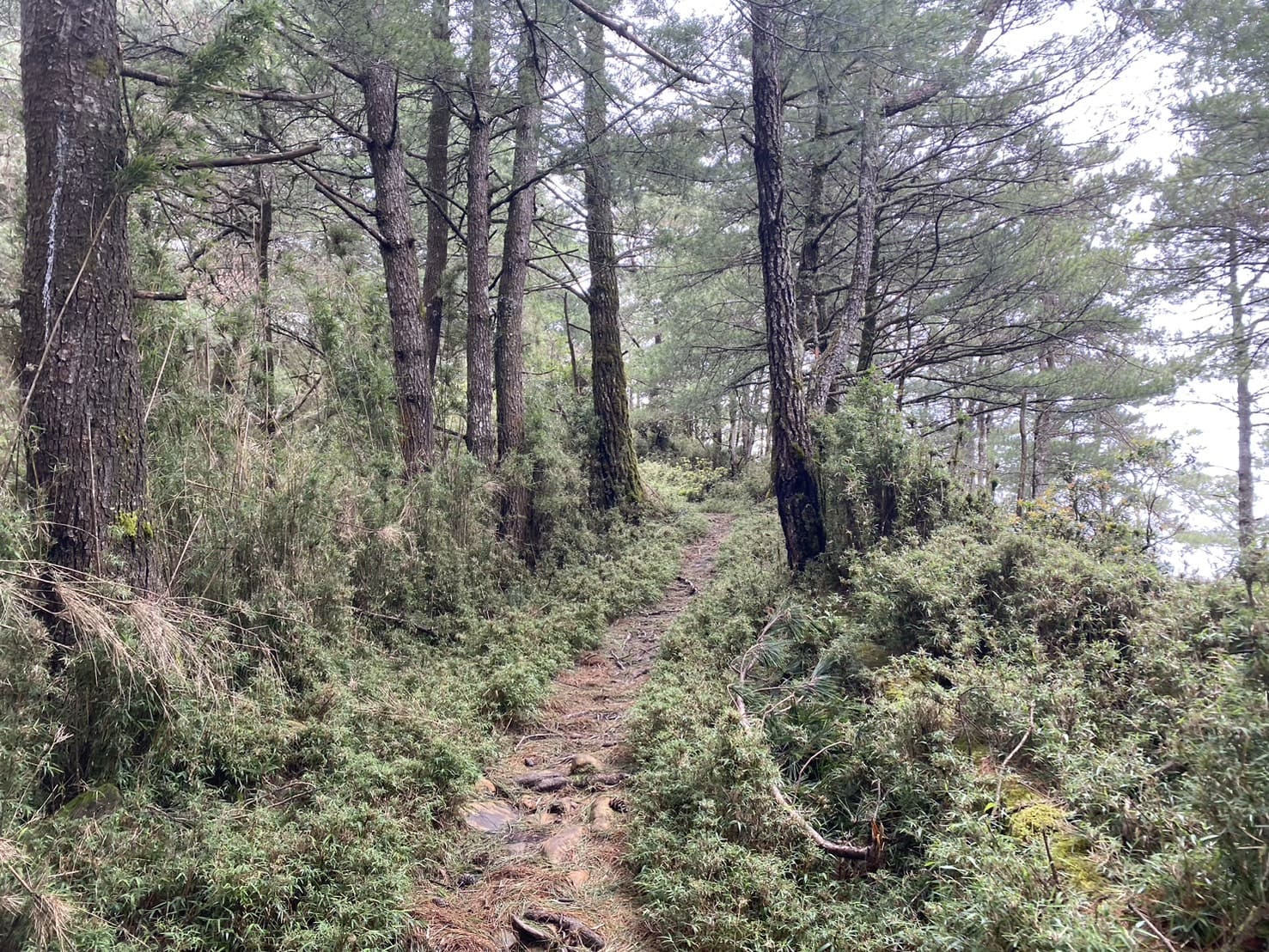 塔塔加三山