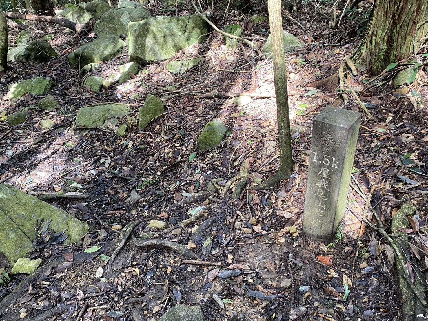 屋我尾山1.5K木樁